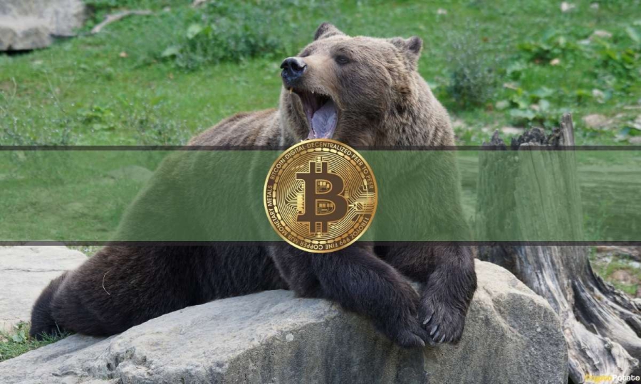 دلايل-ریزش-قیمت-بیتکوین-و-افت-بازار-رمزارزها 
